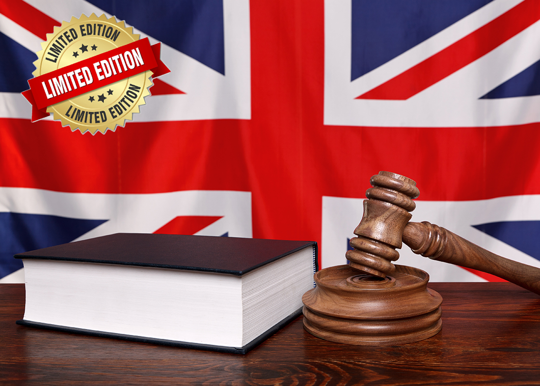 LONDRA PROFESSIONAL ENGLISH (IN FAMIGLIA)