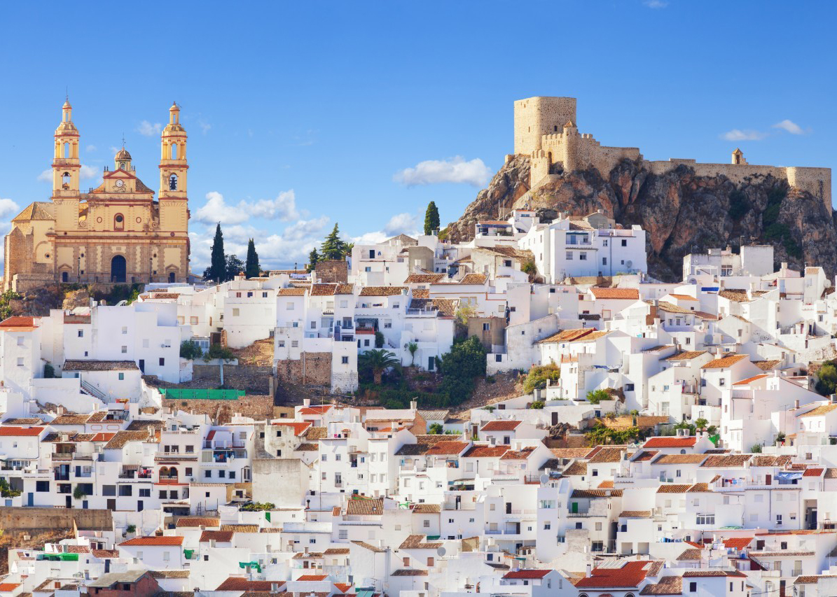 CADICE AREA SELECTION