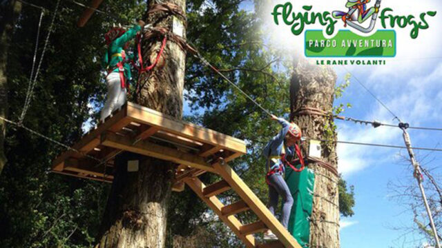 PARCO AVVENTURA FLYING FROGS